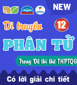 Di truyền học Phân tử (VD_VDC)